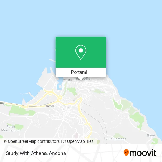 Mappa Study With Athena