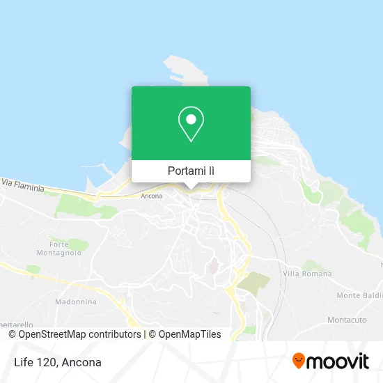 Mappa Life 120