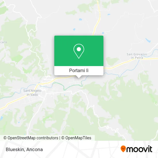 Mappa Blueskin