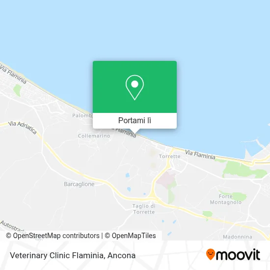 Mappa Veterinary Clinic Flaminia