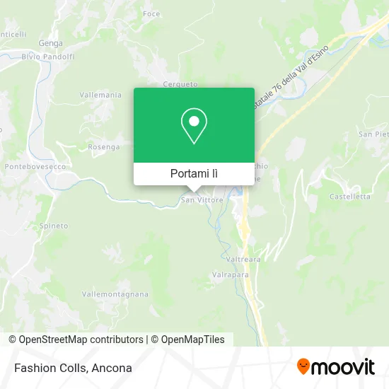 Mappa Fashion Colls