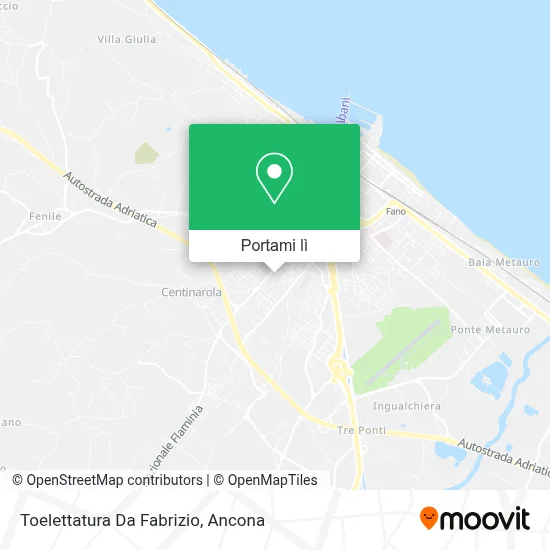 Mappa Toelettatura Da Fabrizio