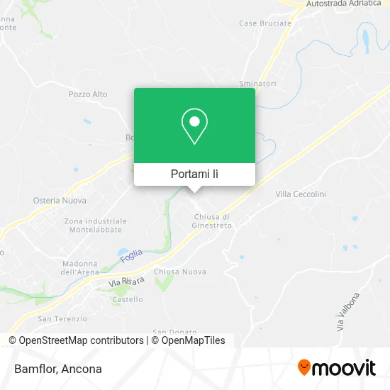 Mappa Bamflor