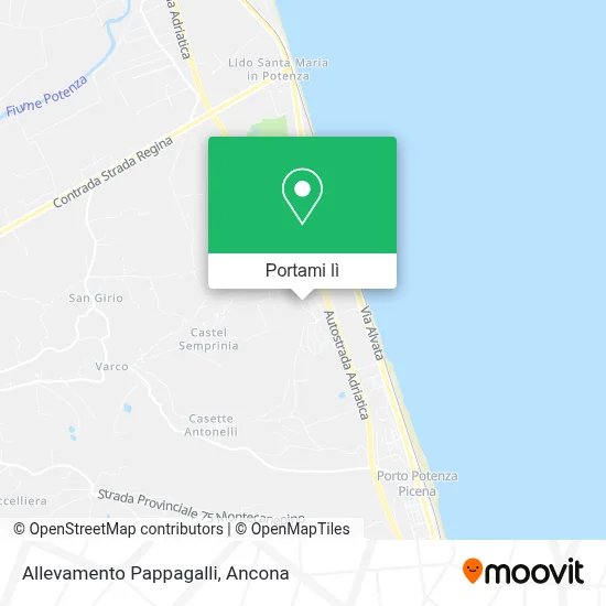Mappa Allevamento Pappagalli