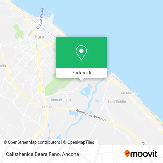 Mappa Calisthenics Bears Fano
