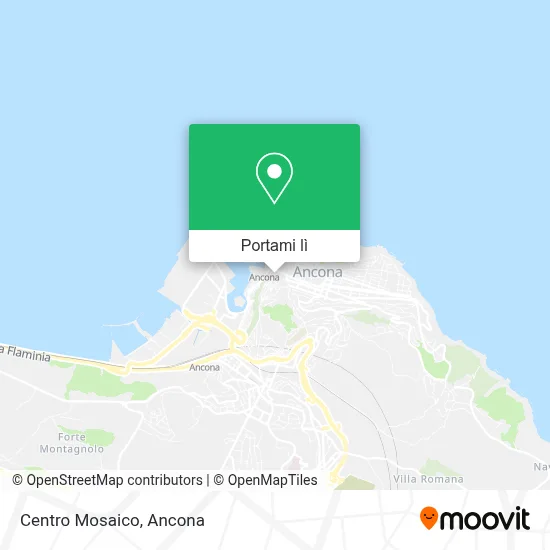 Mappa Centro Mosaico