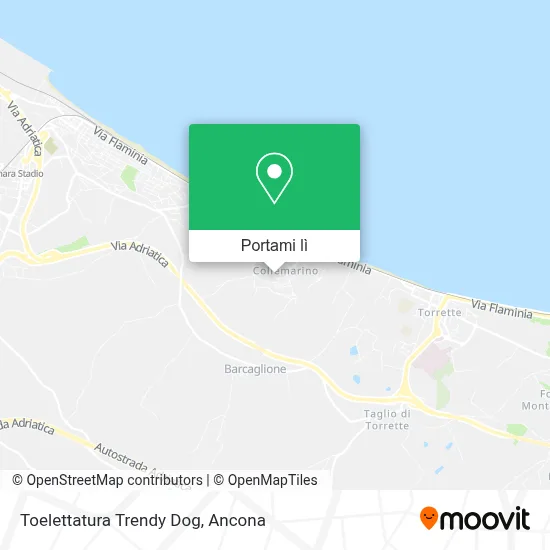 Mappa Toelettatura Trendy Dog