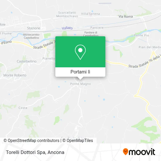 Mappa Torelli Dottori Spa