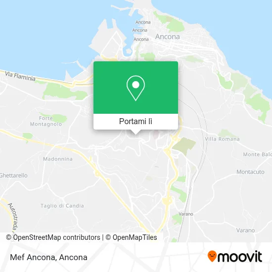 Mappa Mef Ancona