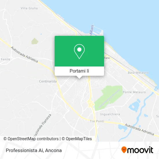Mappa Professionista Ai