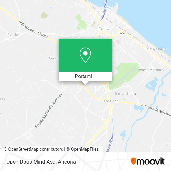 Mappa Open Dogs Mind Asd