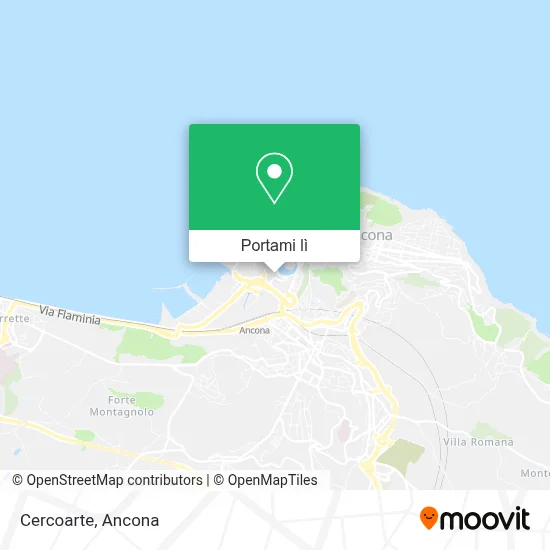 Mappa Cercoarte