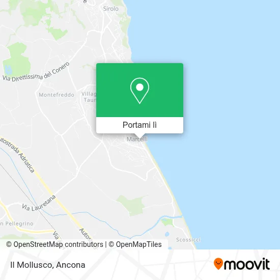 Mappa Il Mollusco