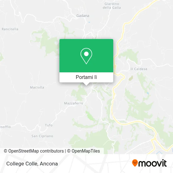 Mappa College Colle