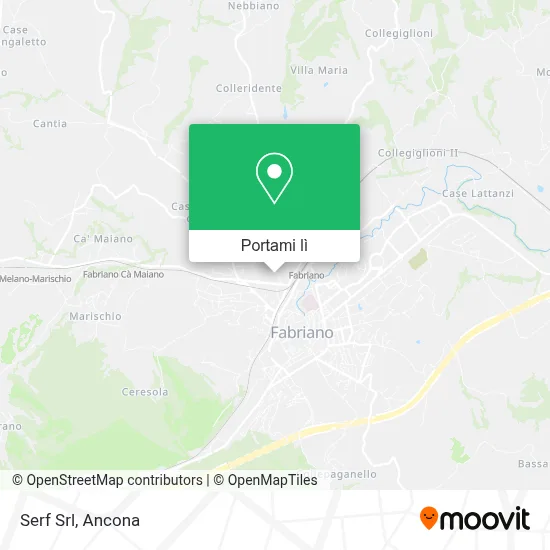 Mappa Serf Srl