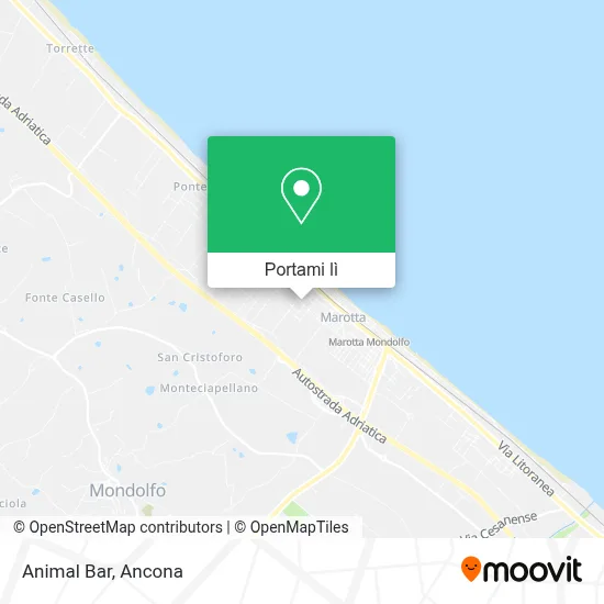 Mappa Animal Bar