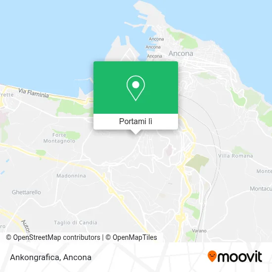 Mappa Ankongrafica