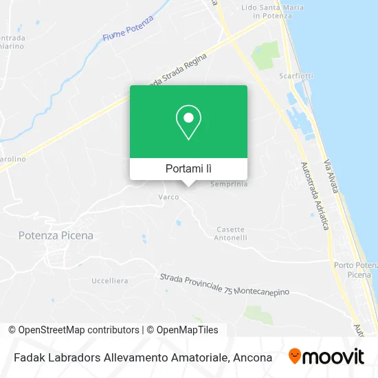 Mappa Fadak Labradors Allevamento Amatoriale