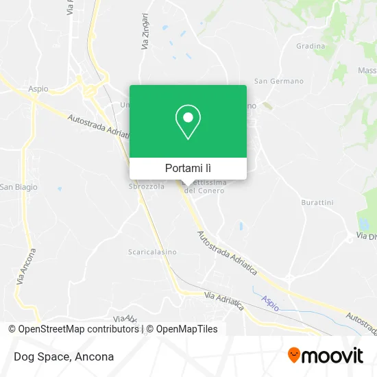 Mappa Dog Space
