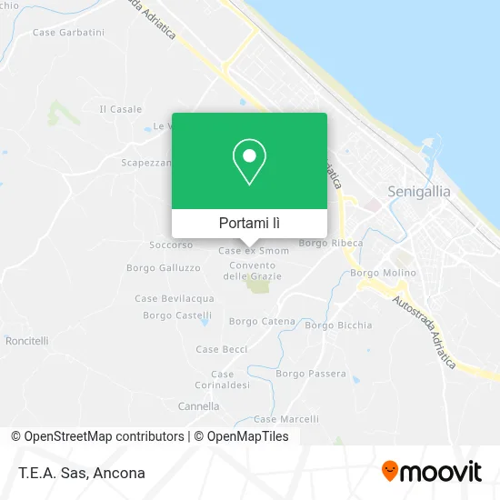 Mappa T.E.A. Sas