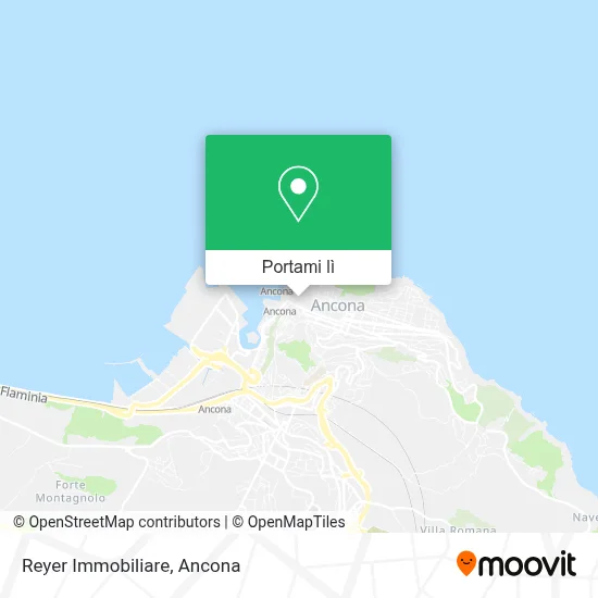 Mappa Reyer Immobiliare