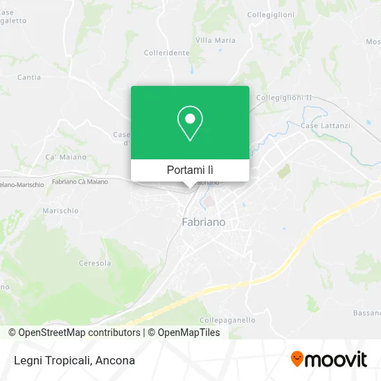 Mappa Legni Tropicali