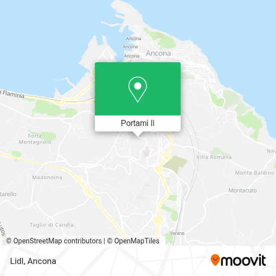 Mappa Lidl