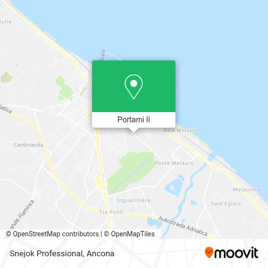 Mappa Snejok Professional