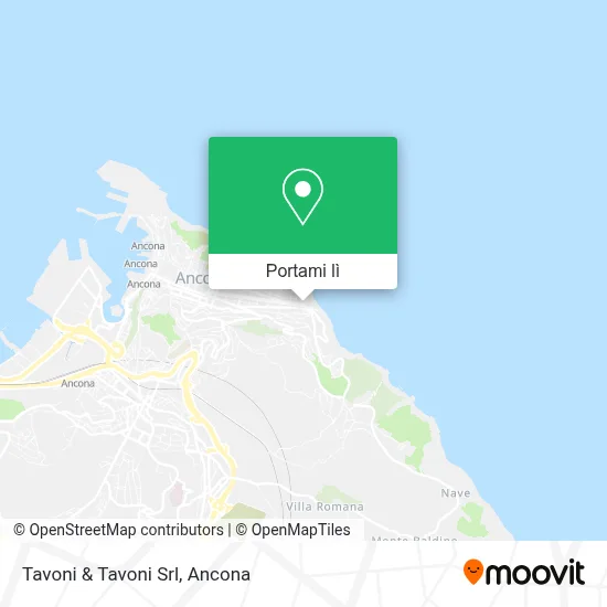 Mappa Tavoni & Tavoni Srl
