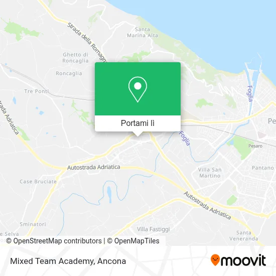 Mappa Mixed Team Academy