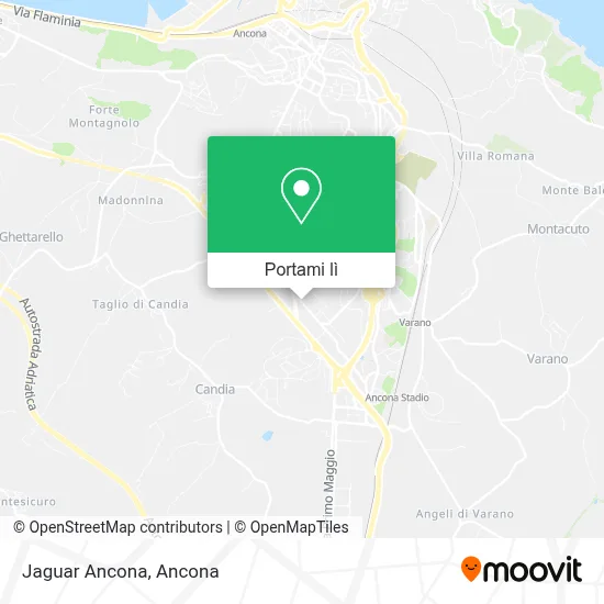 Mappa Jaguar Ancona