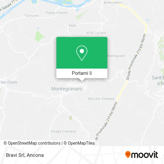 Mappa Bravi Srl