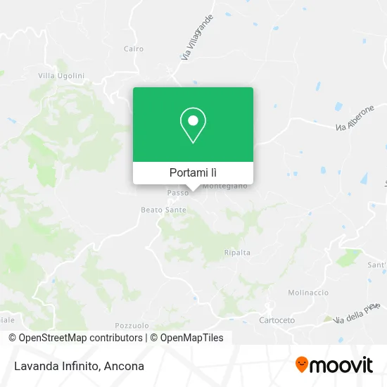 Mappa Lavanda Infinito
