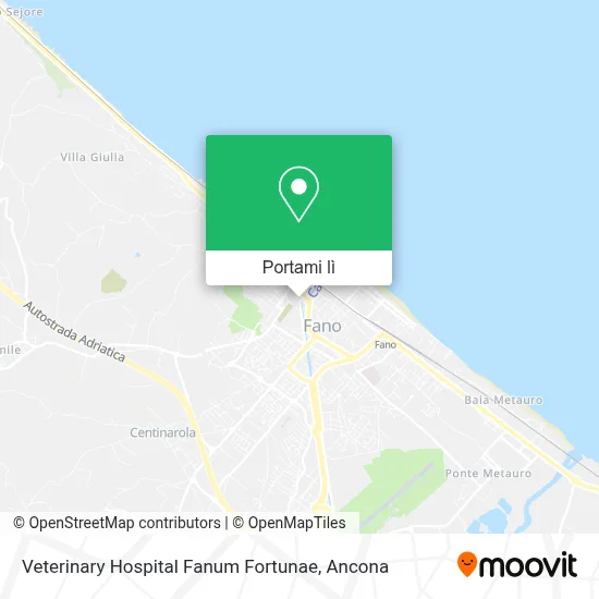 Mappa Veterinary Hospital Fanum Fortunae