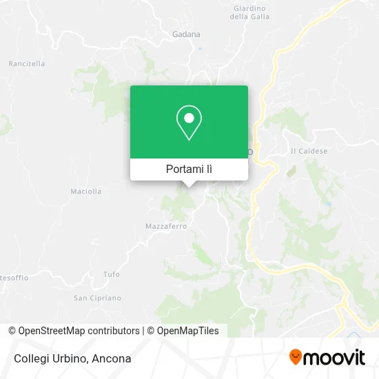 Mappa Collegi Urbino