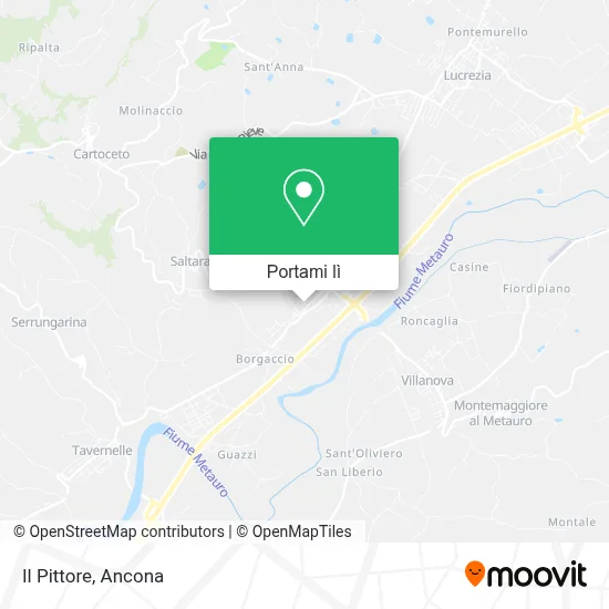 Mappa Il Pittore
