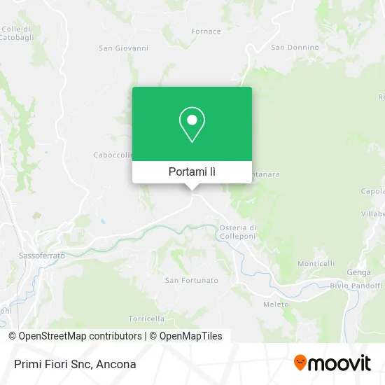 Mappa Primi Fiori Snc