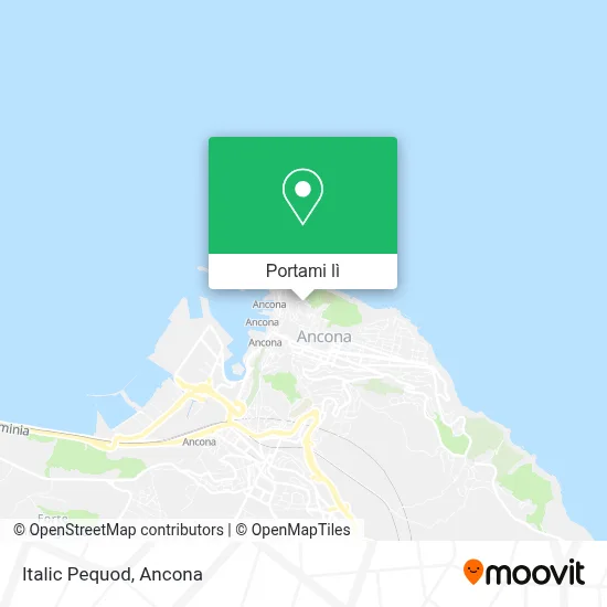 Mappa Italic Pequod