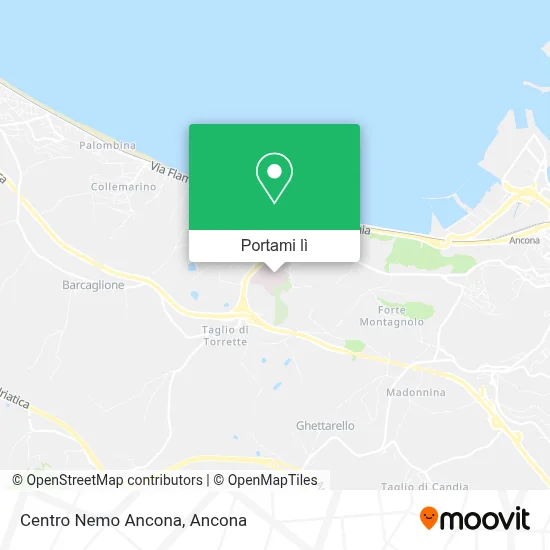 Mappa Centro Nemo Ancona