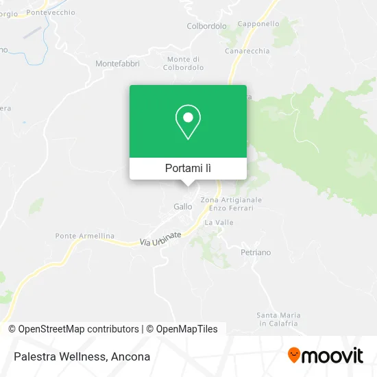 Mappa Palestra Wellness