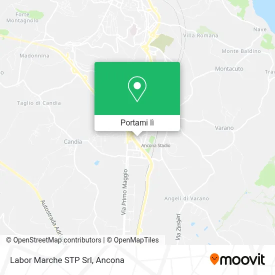 Mappa Labor Marche STP Srl