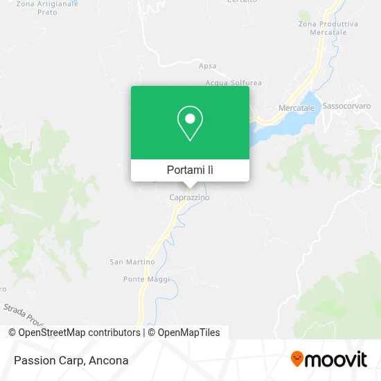 Mappa Passion Carp