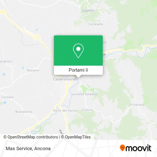 Mappa Mas Service
