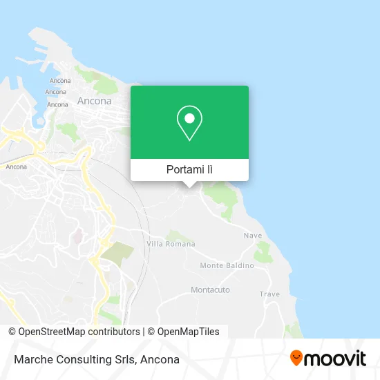 Mappa Marche Consulting Srls