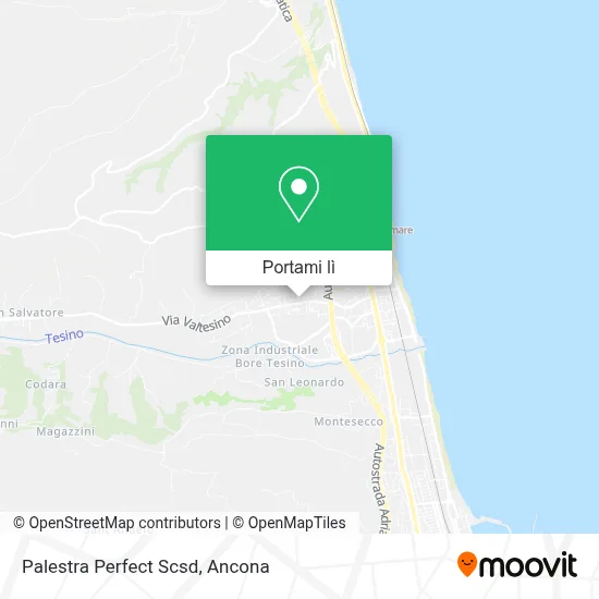 Mappa Palestra Perfect Scsd