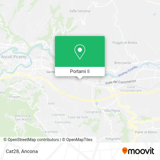 Mappa Cat28