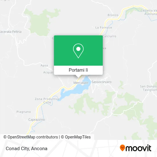 Mappa Conad City