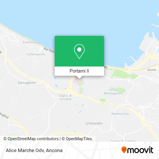 Mappa Alice Marche Odv