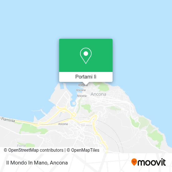 Mappa Il Mondo In Mano