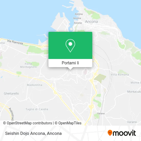 Mappa Seishin Dojo Ancona